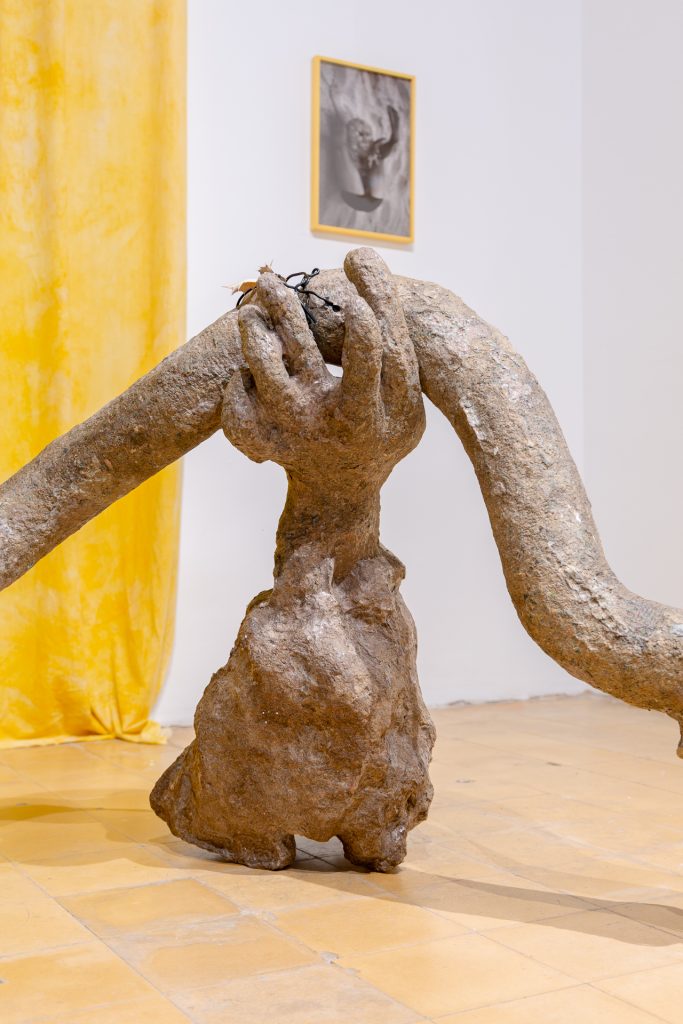 Exhibition view