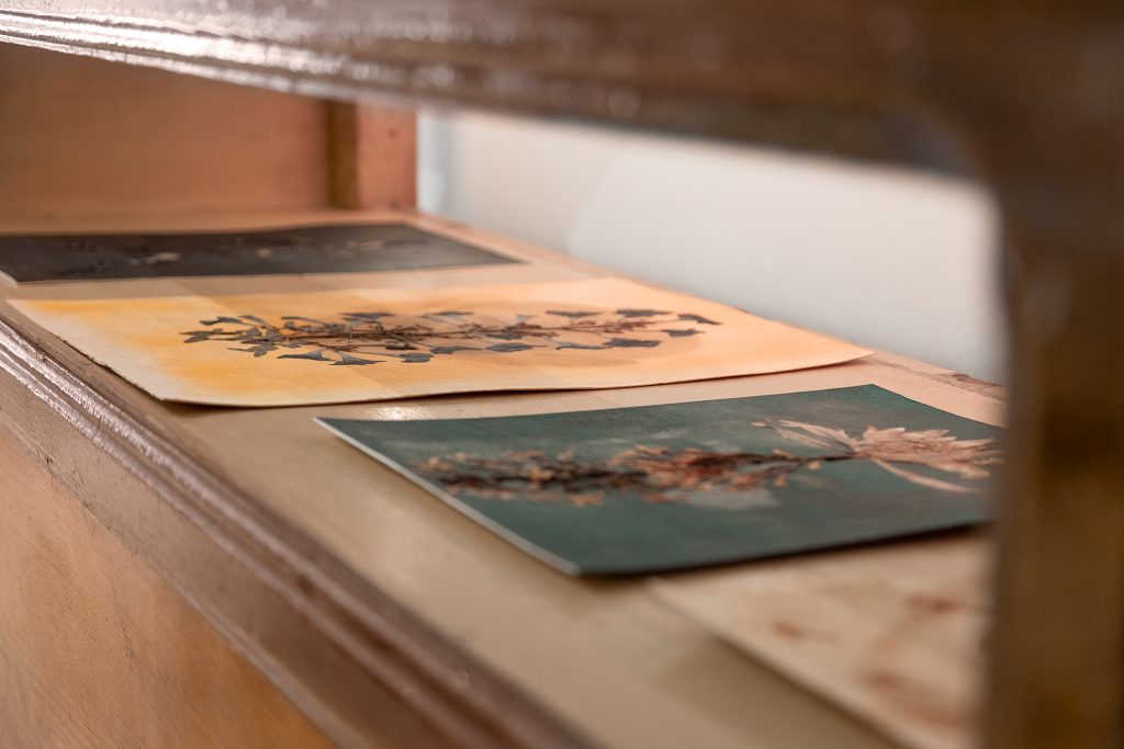 Exhibition view