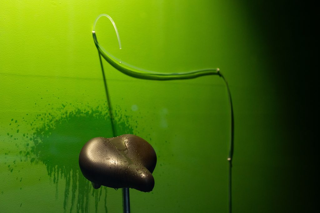 Exhibition view