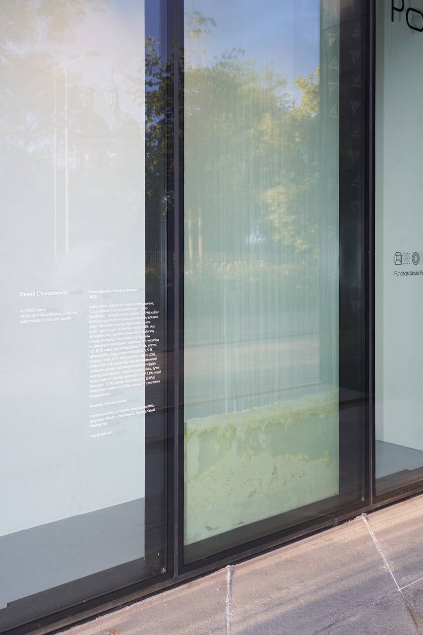 Exhibition view