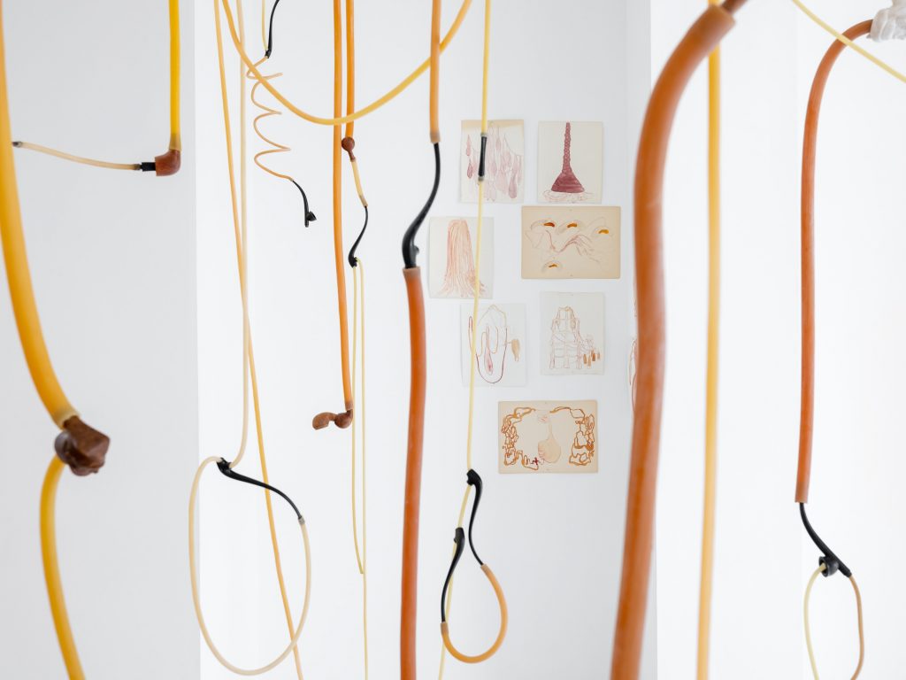 Exhibition view