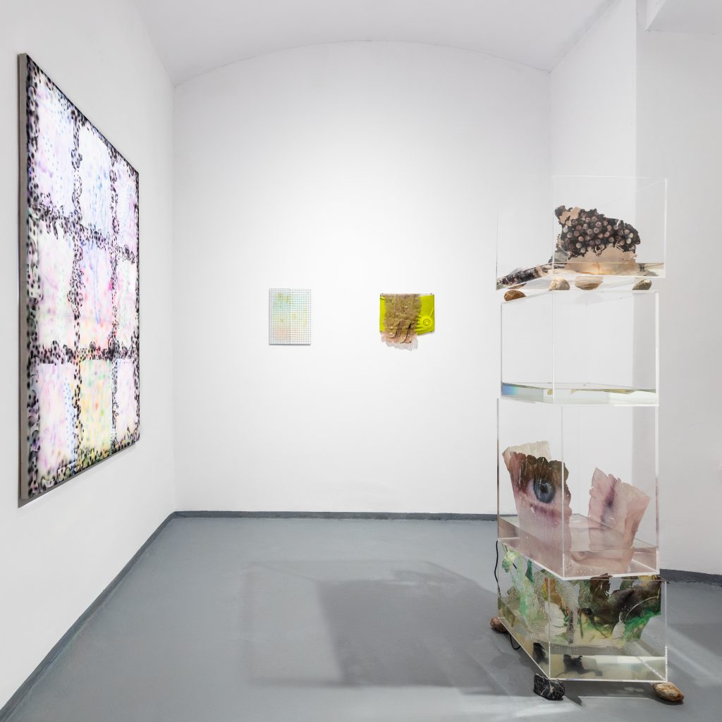 Exhibition view