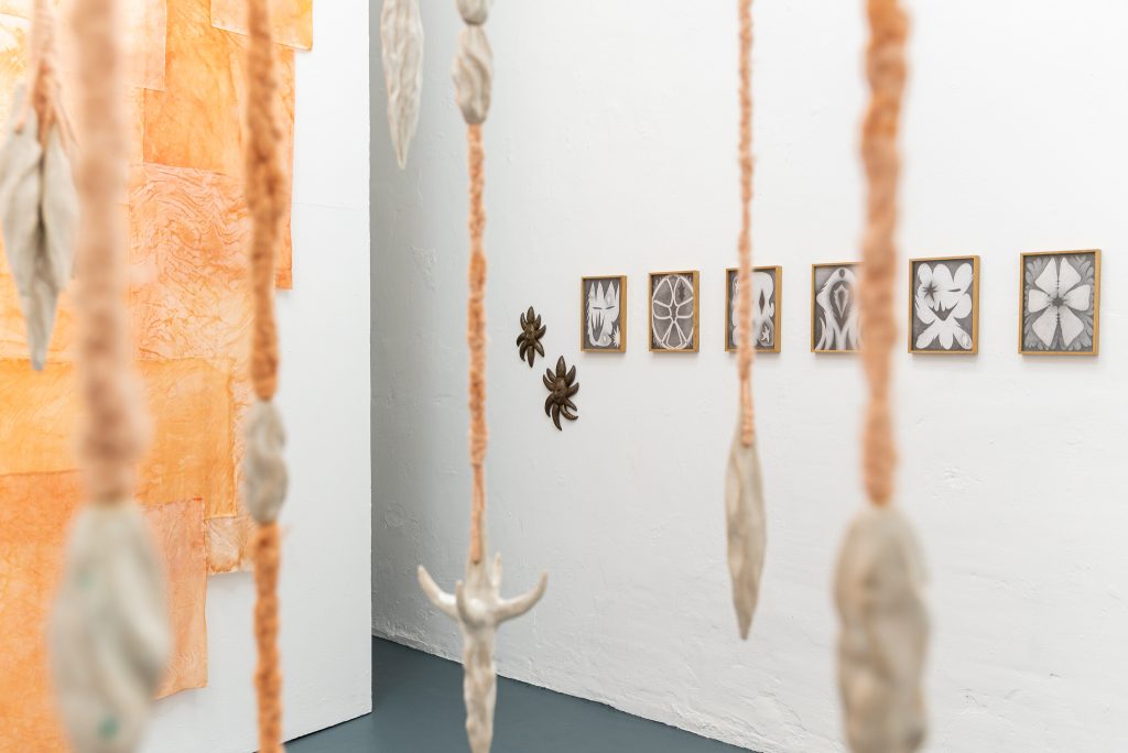 Exhibition view