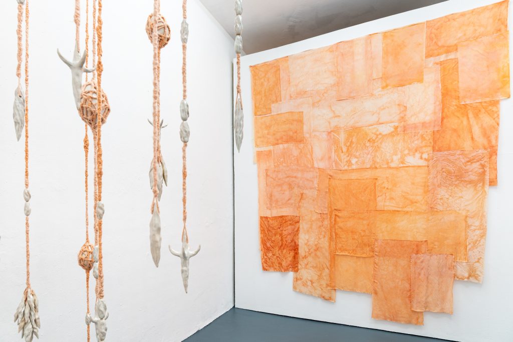 Exhibition view