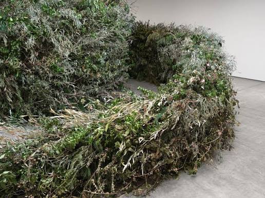 The Art of the Garden, the Art of the Earth: Meg Webster