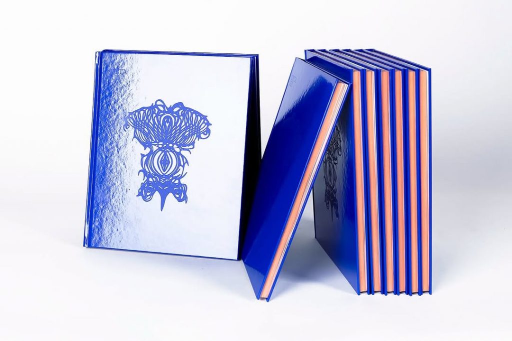 Text for Edyta Hul's catalog